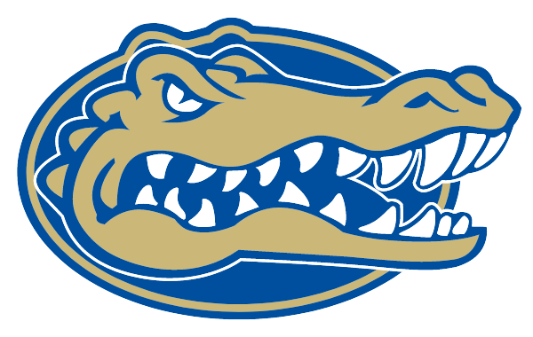 LAKE VIEW HIGH SCHOOL Logo