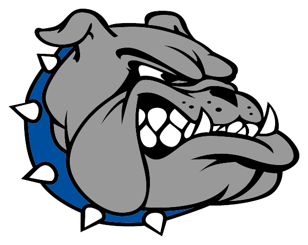 STAFFORD HIGH SCHOOL Logo