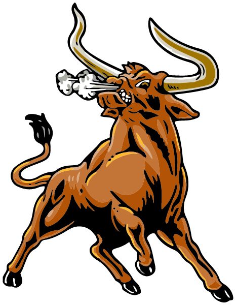HOLCOMB HIGH SCHOOL Sideline Store Longhorns (HOLCOMB, KANSAS) Spirit Apparel & Accessories Store