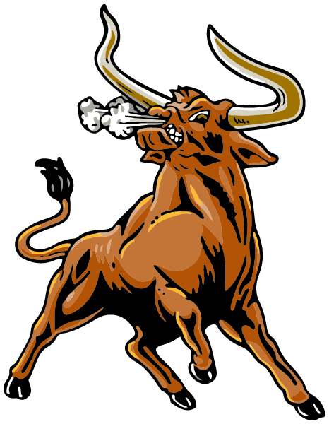 HOLCOMB HIGH SCHOOL Logo