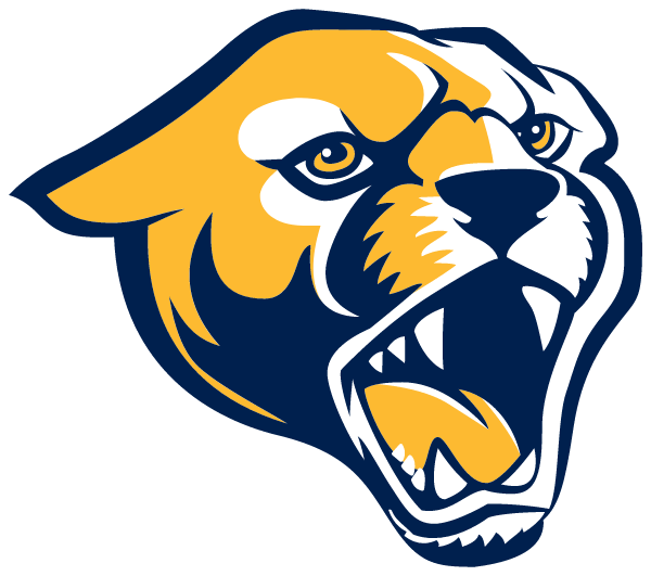NORTHTOWN ACADEMY Logo