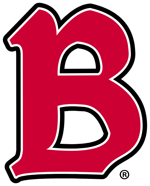 Benedictine University - Mesa Logo