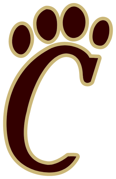 LINCOLN HIGH SCHOOL Logo