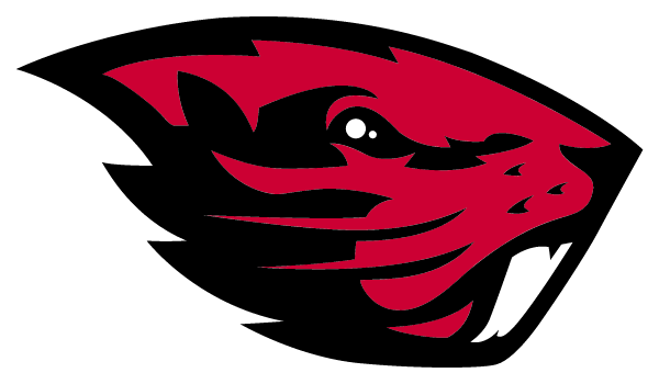 AMERICAN FALLS HIGH SCHOOL Logo