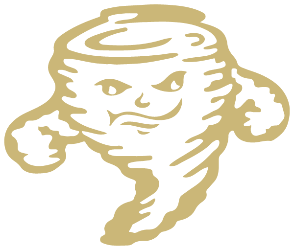 LAUREL HIGH SCHOOL Logo