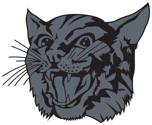 NORTH SHORE PUBLIC SCHOOL Sideline Store Wildcats (MAKOTI, NORTH DAKOTA) Spirit Apparel & Accessories Store