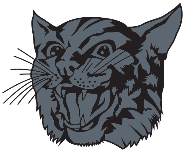 NORTH SHORE PUBLIC SCHOOL Logo