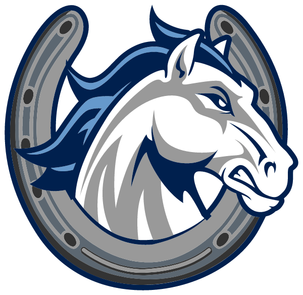 BURKEVILLE HIGH SCHOOL Logo