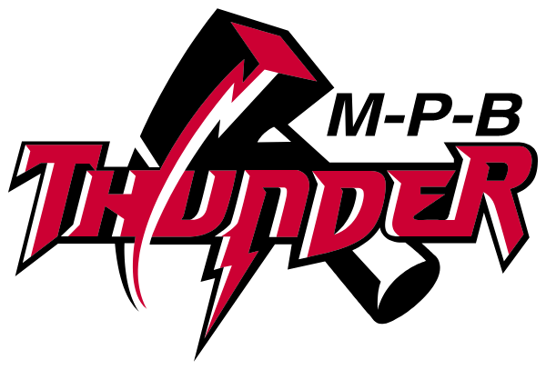 MEDINA HIGH SCHOOL Logo