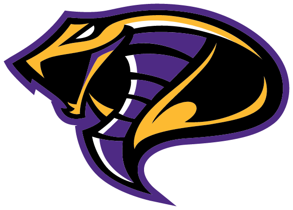 FOUNTAIN LAKE HIGH SCHOOL Logo