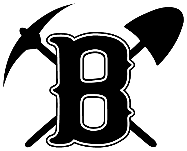 BAUXITE HIGH SCHOOL Logo