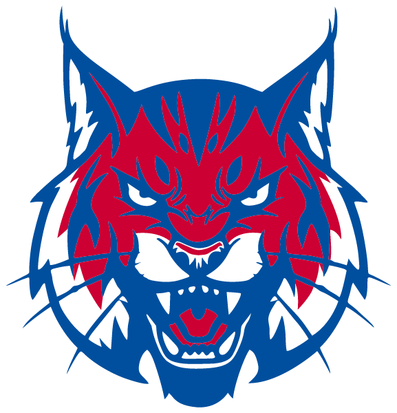 SUPERIOR HIGH SCHOOL Logo