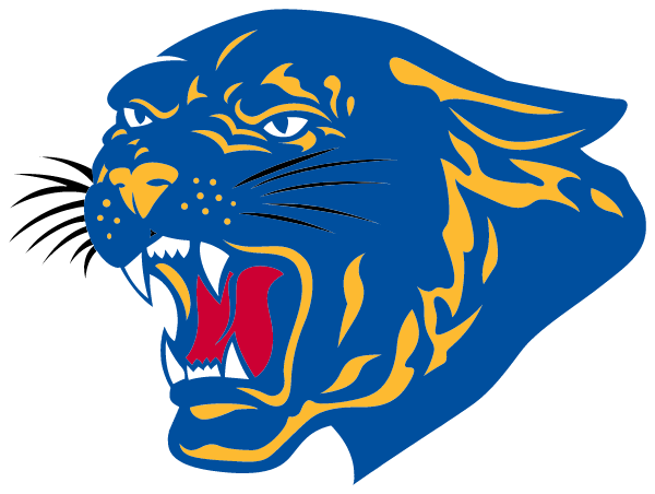 DUDLEY SENIOR HIGH SCHOOL Logo
