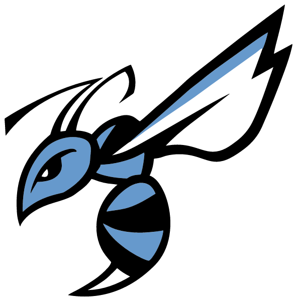 CHANDLER ONLINE ACADEMY Logo