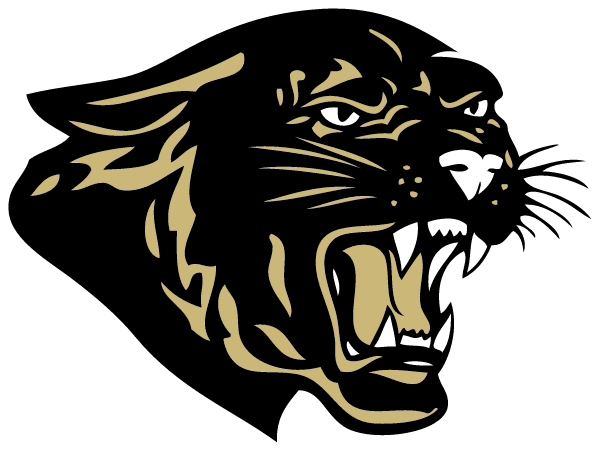 FAIRVIEW HIGH SCHOOL Logo