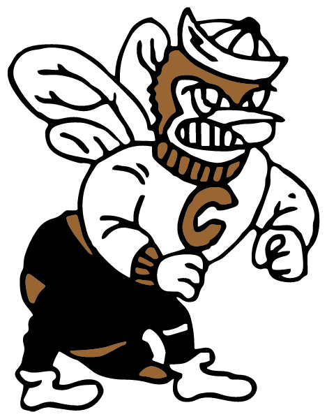 CALDWELL HIGH SCHOOL Logo