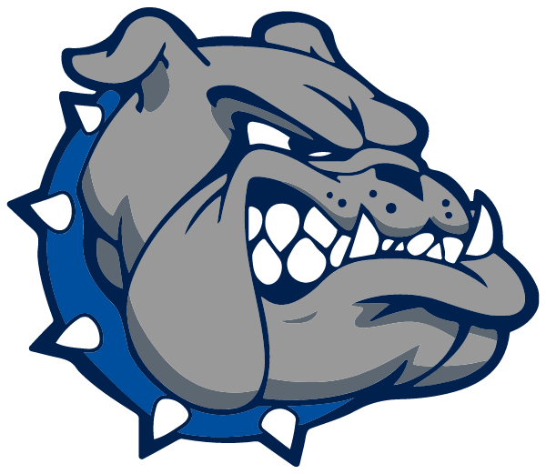 CLINTON COUNTY HIGH SCHOOL Logo