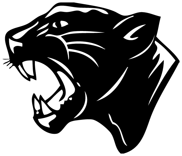 LAKE PLEASANT CENTRAL SCHOOL Logo