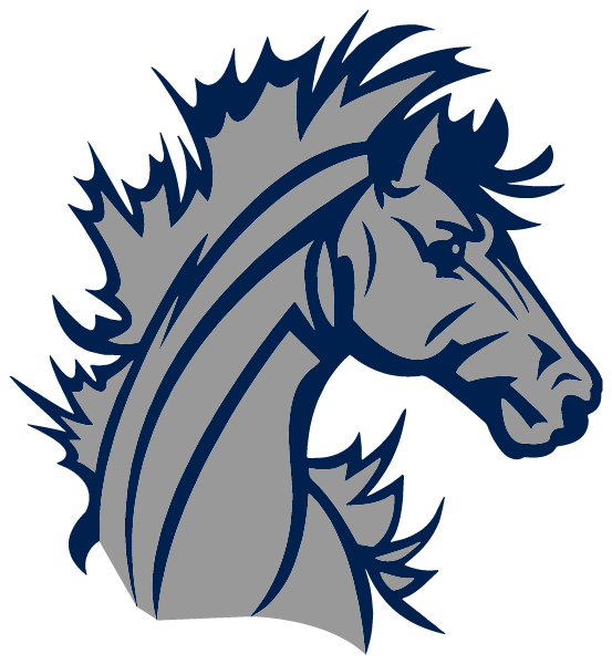 M L S-MOHALL HIGH SCHOOL Logo