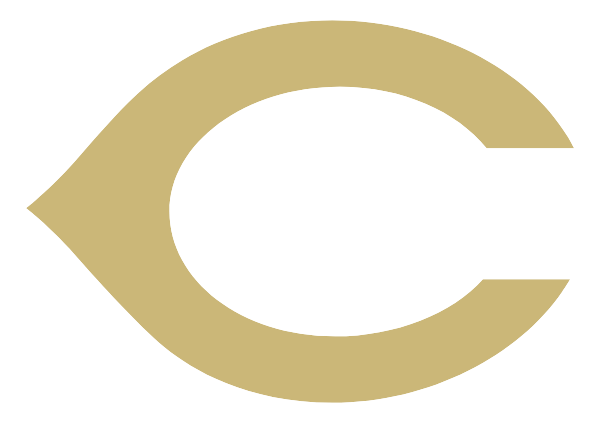 CANADIAN HIGH SCHOOL Logo