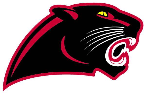 LUMBERTON HIGH SCHOOL Logo