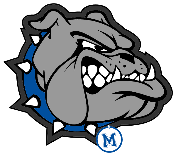 MC ADAMS HIGH SCHOOL Logo