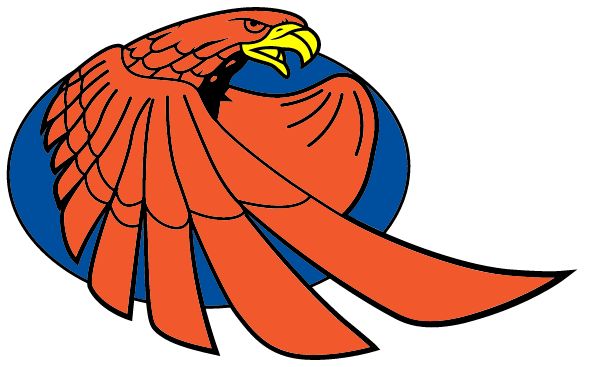 FOLEY HIGH SCHOOL Sideline Store Falcons (FOLEY, MINNESOTA) Spirit Apparel & Accessories Store