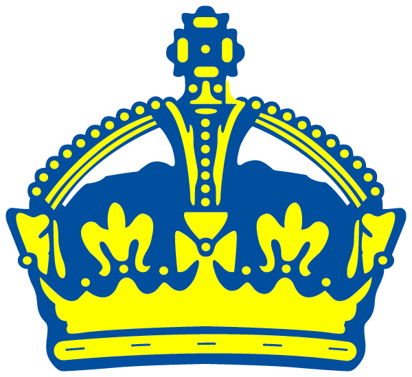 NAPOLEON HIGH SCHOOL Logo