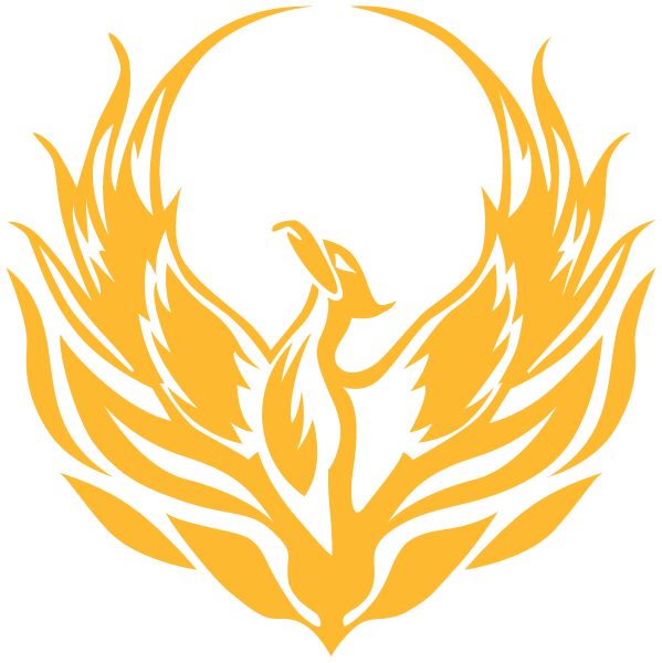 THE YOUNG WOMEN'S LEADERSHIP SCHOOL OF ASTORIA Sideline Store Phoenix (Astoria, New York) Spirit Apparel & Accessories Store