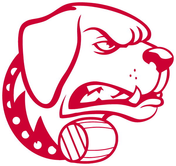 SAINT BERNARD HIGH SCHOOL Logo