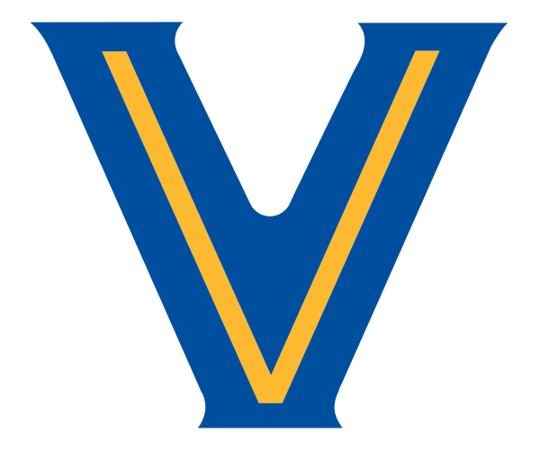 VALLEY VIEW HIGH SCHOOL Logo
