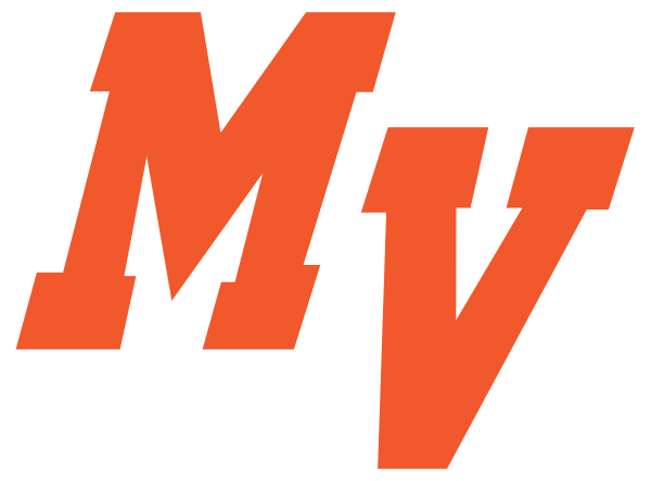 MEDINA VALLEY HIGH SCHOOL Logo
