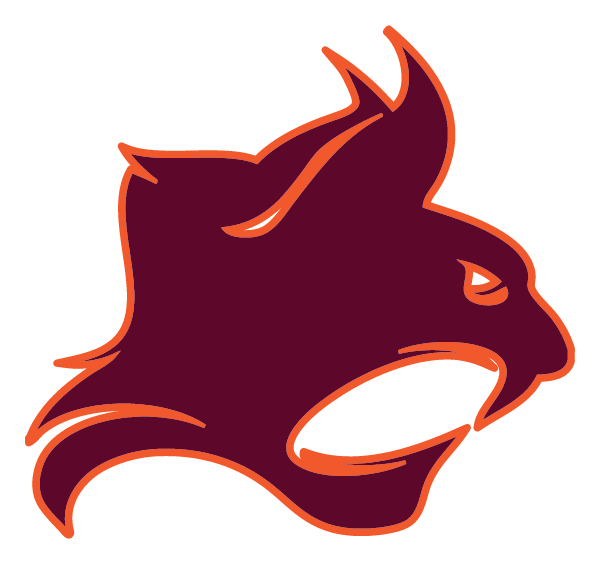 BACK OF THE YARDS IB HIGH SCHOOL Logo
