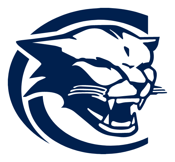 CORNERSTONE ACADEMY Logo