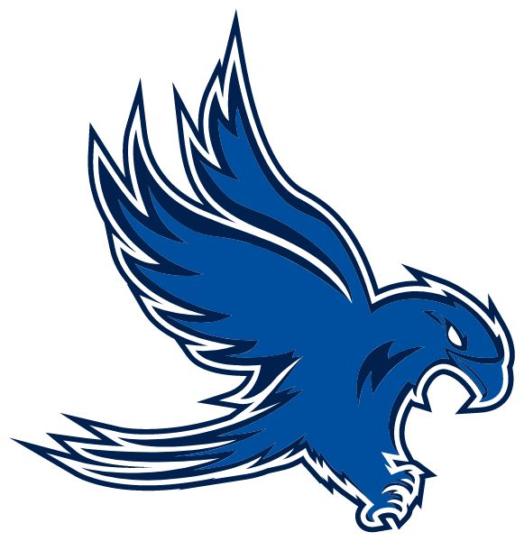 CENTRAL ACADEMY Sideline Store Falcons (ANN ARBOR, Michigan) Spirit Apparel & Accessories Store