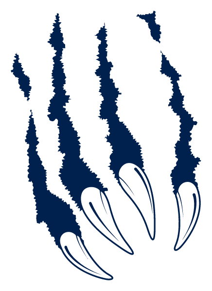 BROOKS COLLEGIATE ACADEMY Logo
