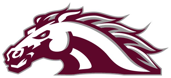 WESTERN HILLS HIGH SCHOOL MUSTANGS - CINCINNATI, OHIO