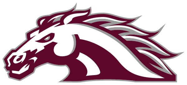 WESTERN HILLS HIGH SCHOOL Logo