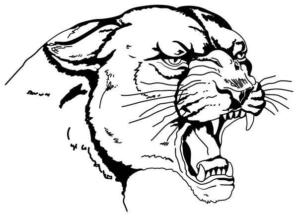 RIVERSIDE HIGH SCHOOL Logo