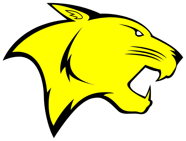 IDEA COLLEGE PREPARATORY - CARVER Logo