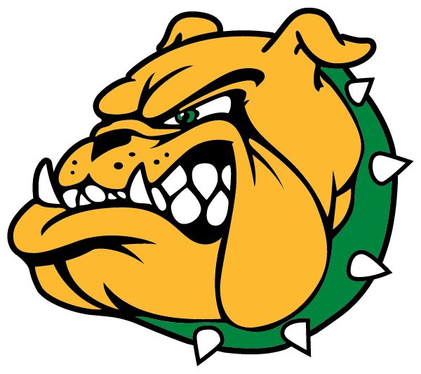 DODDRIDGE COUNTY HIGH SCHOOL Logo