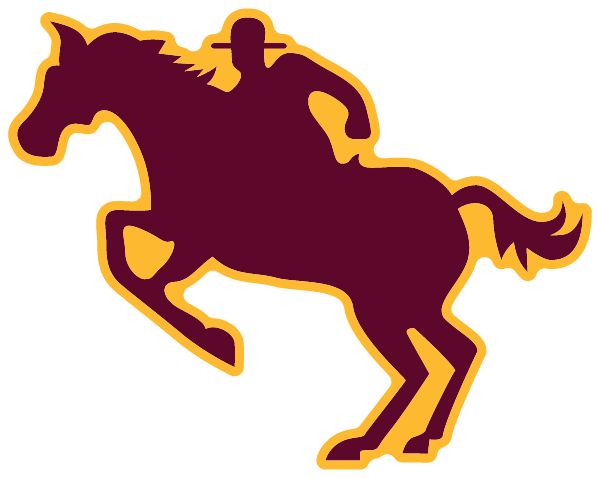Forest Lake High School Sideline Store
