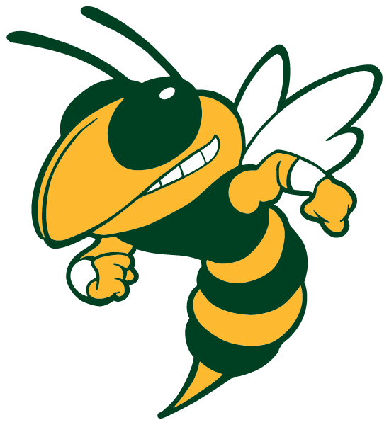 EMMAUS HIGH SCHOOL Logo