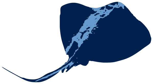 STEPPING STONES LEARNING ACADEMY Logo