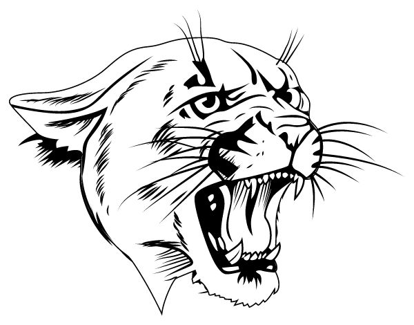 BRUSHTON MOIRA HIGH SCHOOL Sideline Store Panthers (BRUSHTON, New York) Spirit Apparel & Accessories Store