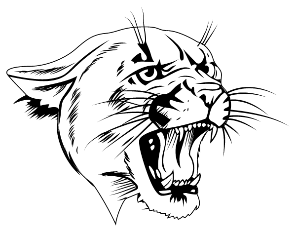 BRUSHTON MOIRA HIGH SCHOOL Logo