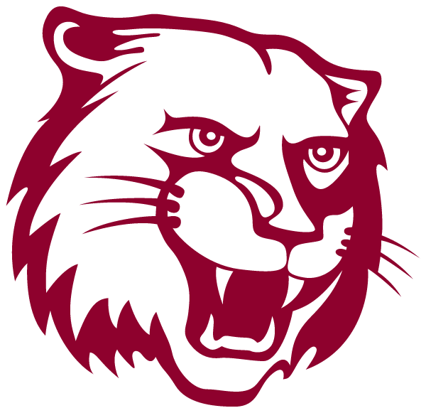 WASHINGTON HIGH SCHOOL Logo