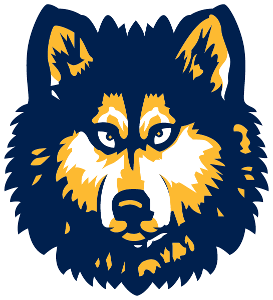 BRECKENRIDGE VIRTUAL SCHOOL Logo