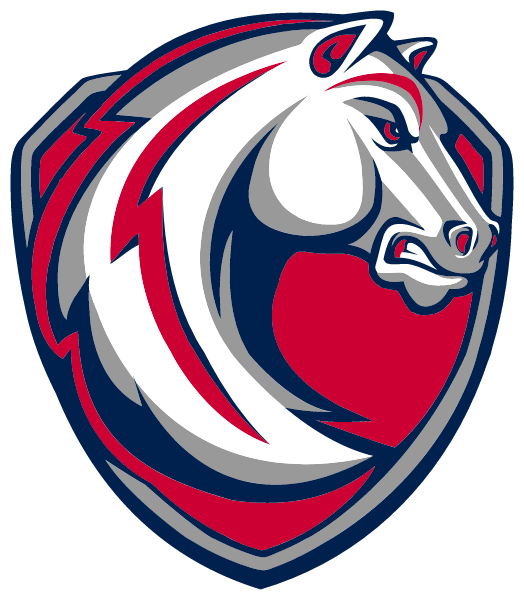 ACKERMAN HIGH SCHOOL Logo