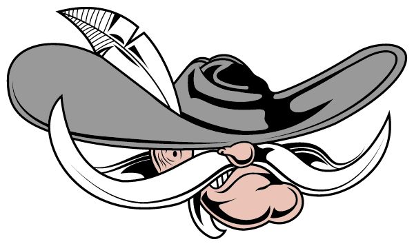 DILWORTH-GLYNDON-FELTON HIGH Sideline Store Rebels (GLYNDON, MINNESOTA) Spirit Apparel & Accessories Store